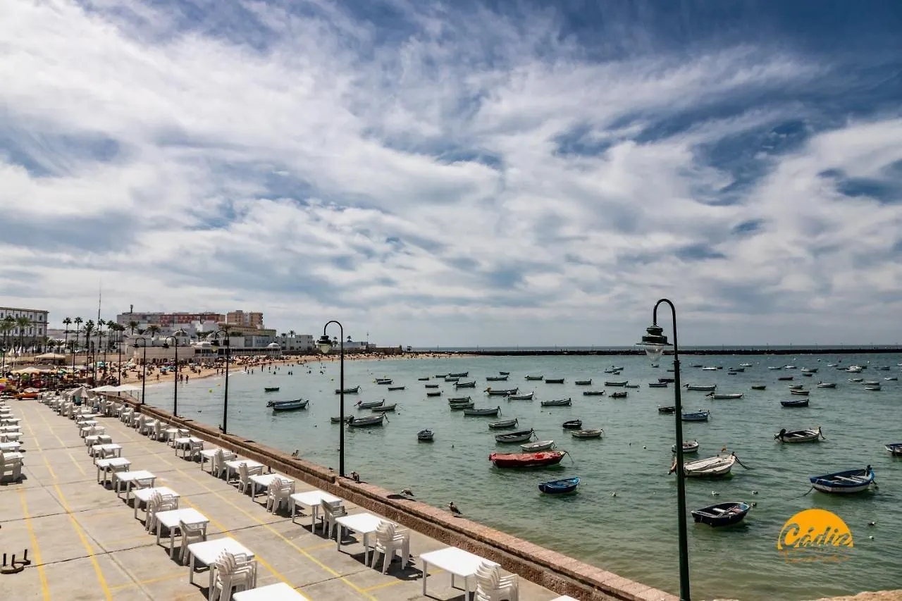 Apartment Carpenter'S Home By Cadiz Time Spain